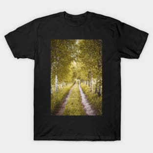 Alley of autumn birches T-Shirt